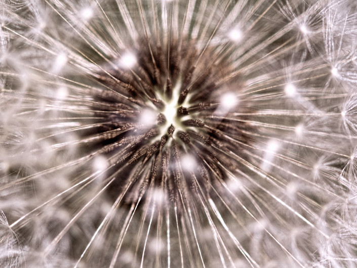 MAKRO / MACRO