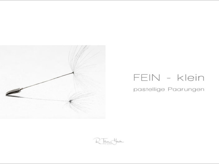 FEIN – klein